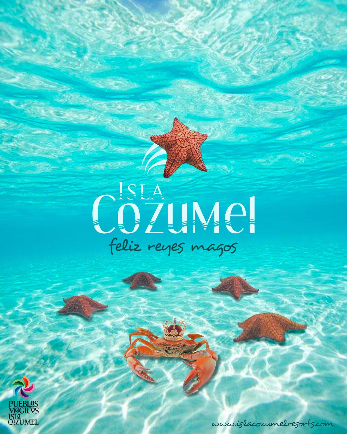 Proyecto Twinbox 484271441_1069204175243747_991556700178182076_n.webp